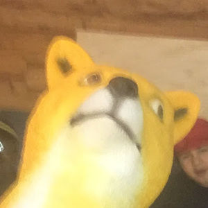 Meet your Posher, Mason